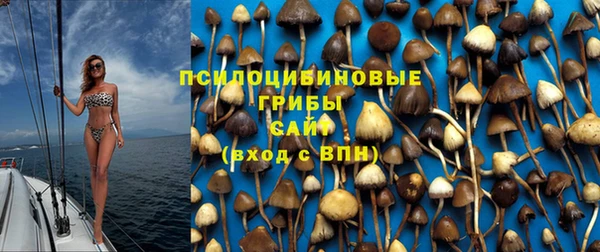 скорость Алзамай