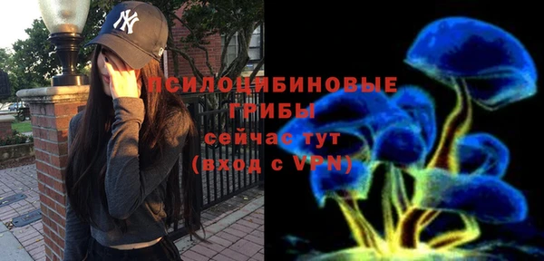 таблы Алексеевка