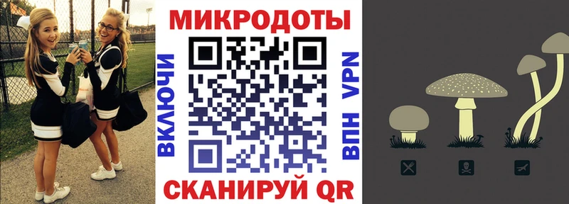 Псилоцибиновые грибы мицелий  Томари 